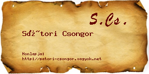 Sátori Csongor névjegykártya